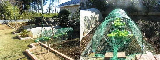 田舎暮らし お客様の声