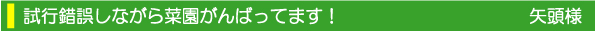 田舎暮らし お客様の声 矢頭様