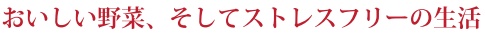 田舎暮らし お客様の声 162