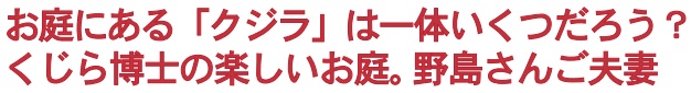 田舎暮らし お客様の声 175