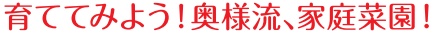 田舎暮らし お客様の声 189