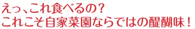 田舎暮らし お客様の声 189