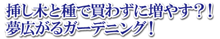 田舎暮らし お客様の声 198