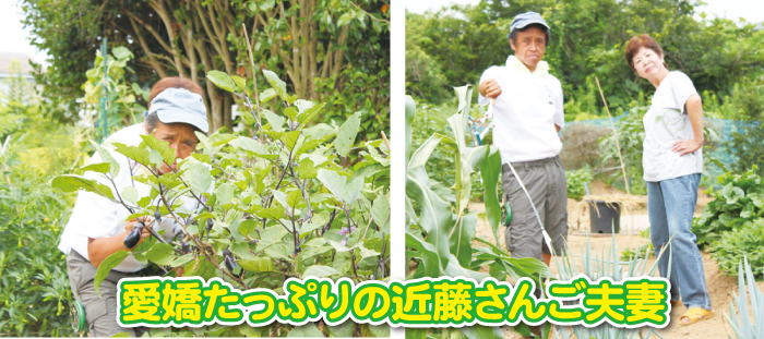田舎暮らし お客様の声 201