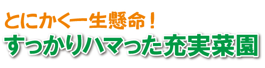 田舎暮らし お客様の声 201