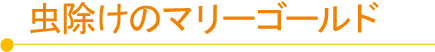 田舎暮らし お客様の声 201