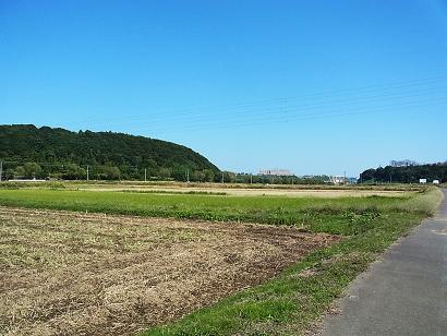 ファイル 121104-26.jpg