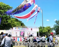 田舎暮らし 鹿嶋 はまなす祭り