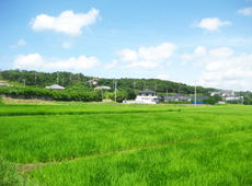 田舎暮らし 鹿嶋の気候