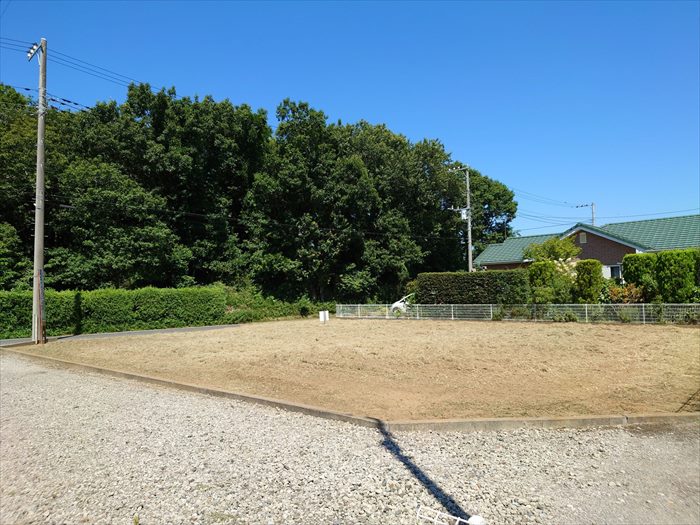 ファイル a31-5_5.jpg
