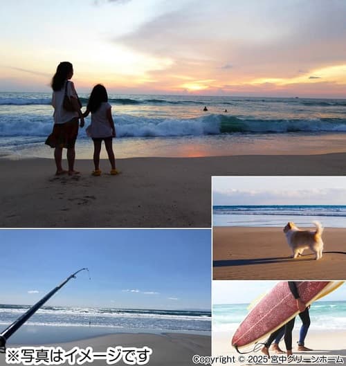 ファイル kamisawa30-1_イメージ1.jpg