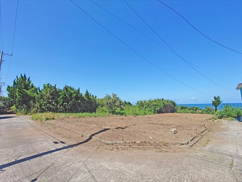 ファイル kamisawa30-1_01.jpg