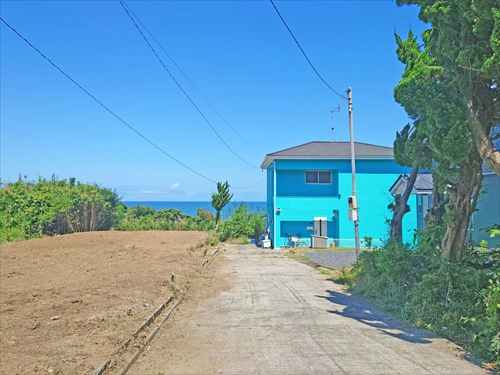 ファイル kamisawa30-1_02.jpg