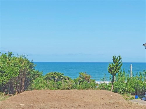 ファイル kamisawa30-1_06.jpg