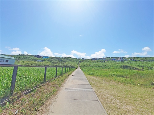 ファイル kamisawa30-1_10.jpg