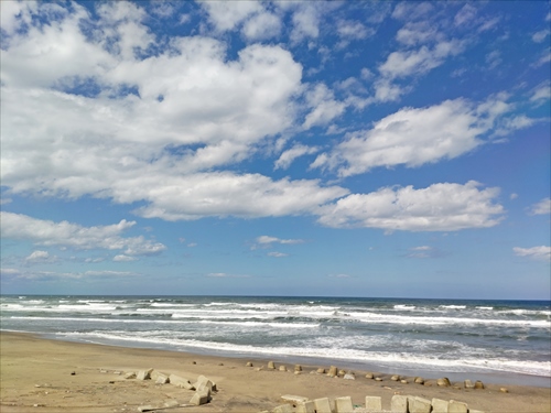 T112写真海