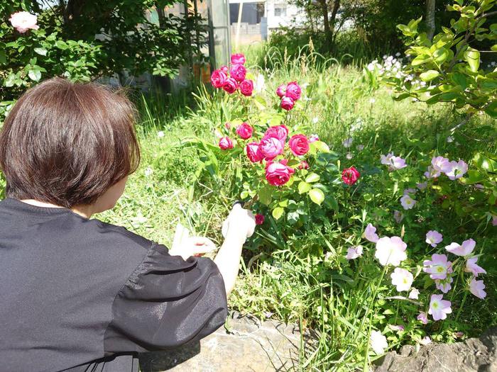 ブログ画像