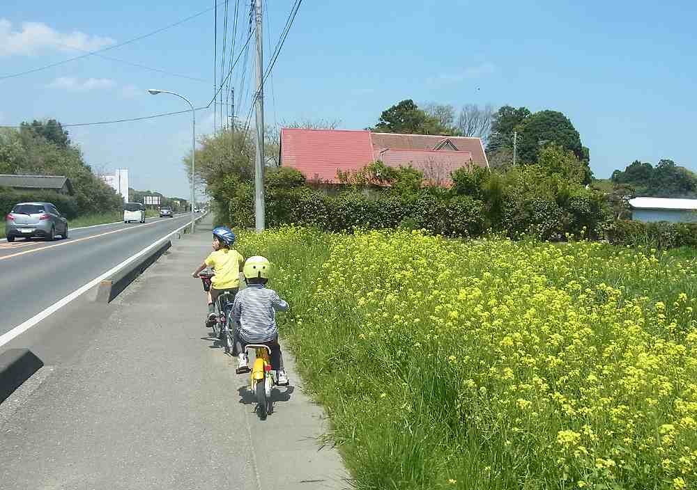 田舎暮らしブログ 324-1.jpg